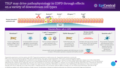 The role of epithelial cytokines in COPD Image