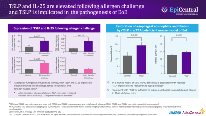 Bar charts showing elevation of TSLP and IL-25 following allergen challenge and implication of TSLP in the pathogenesis of EoE