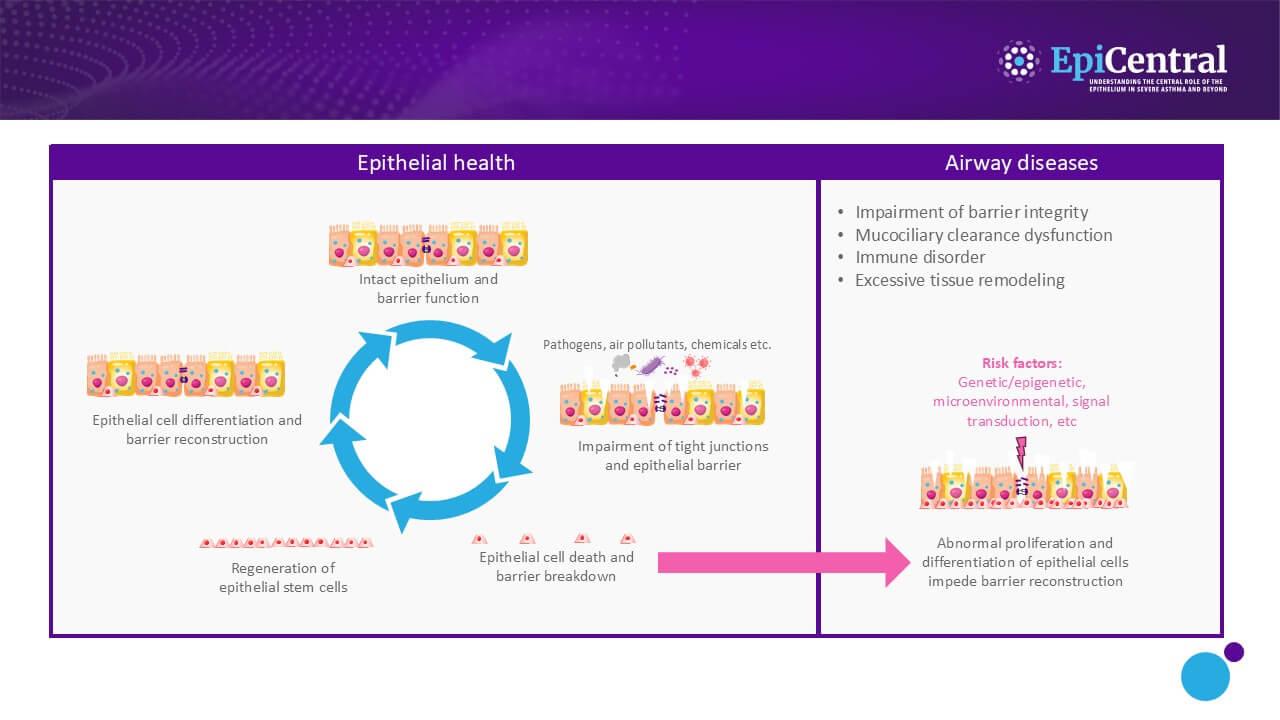 Epithelial health