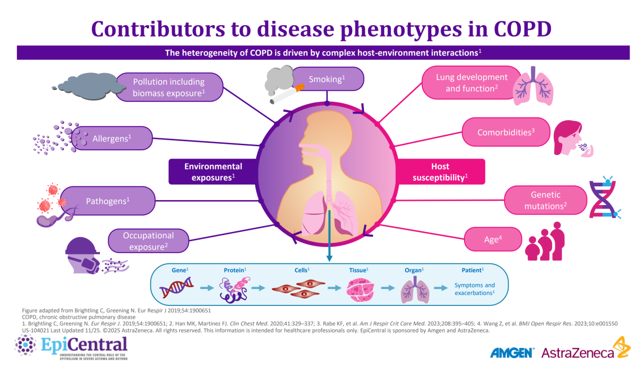 EpiCentral US_COPD_Phenotypes of Disease_Hero Asset