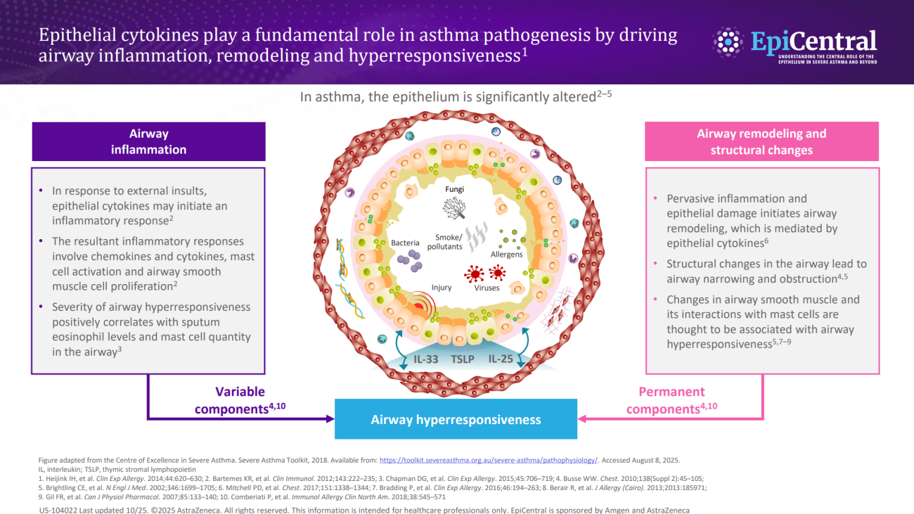 US EpiCentral _AHR Module_Inflammation Remodelling and Hyperresponsiveness Hero Asset