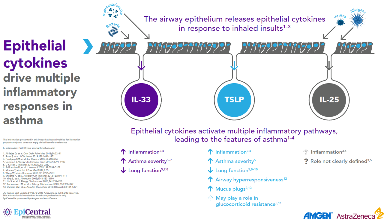 US EpiCentral_Module 4_Epithelial Cytokines and clinical features_hero asset