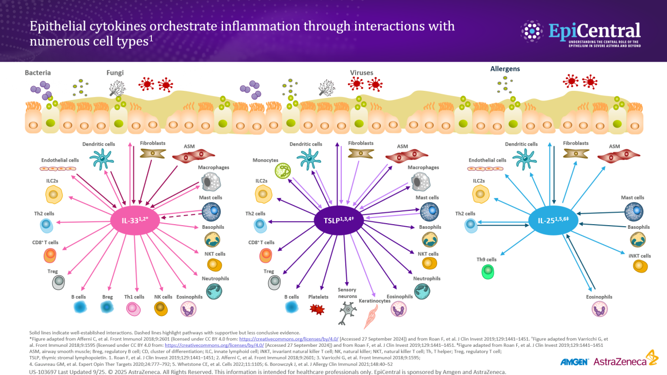 US EpiCentral_Module 4_epithelial cytokines orchestrate inflammation_hero asset